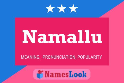 Poster del nome Namallu