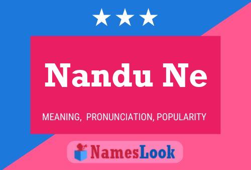 Poster del nome Nandu Ne