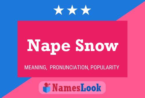 Poster del nome Nape Snow