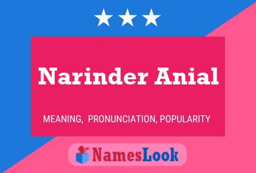 Poster del nome Narinder Anial