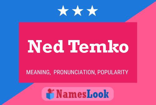 Poster del nome Ned Temko