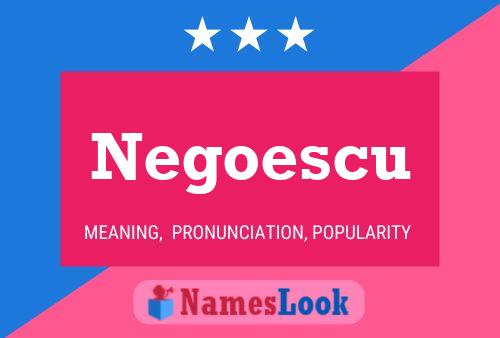 Poster del nome Negoescu