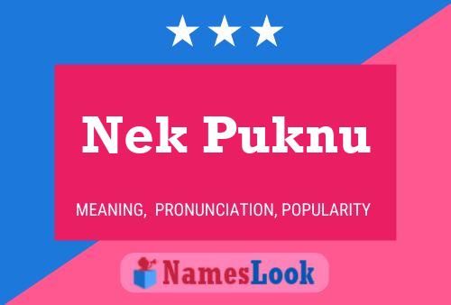 Poster del nome Nek Puknu