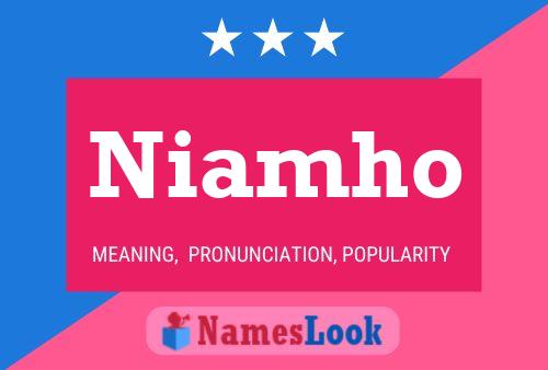 Poster del nome Niamho