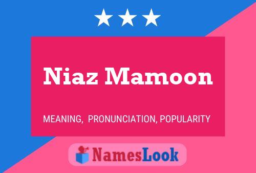 Poster del nome Niaz Mamoon