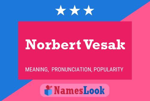 Poster del nome Norbert Vesak