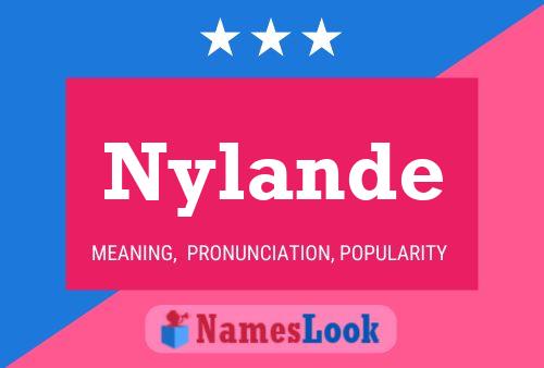 Poster del nome Nylande