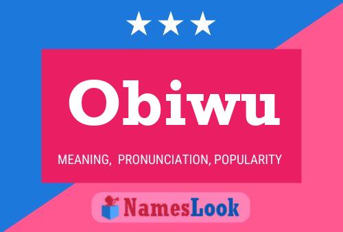 Poster del nome Obiwu