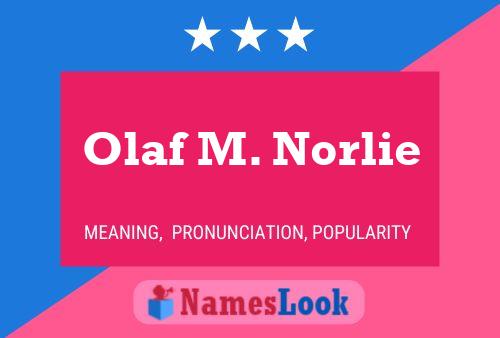 Poster del nome Olaf M. Norlie