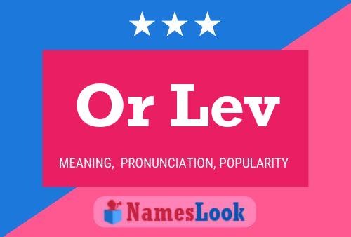 Poster del nome Or Lev