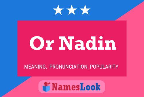 Poster del nome Or Nadin