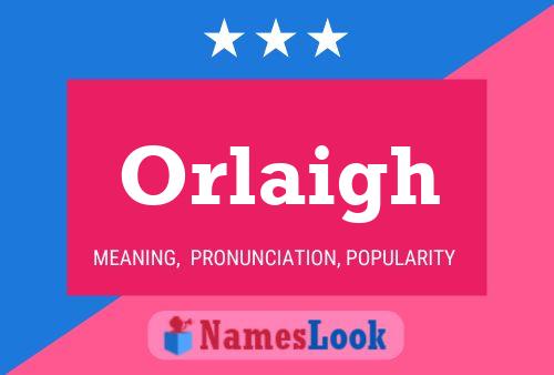 Poster del nome Orlaigh