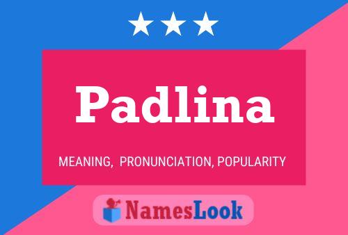 Poster del nome Padlina