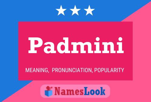 Poster del nome Padmini