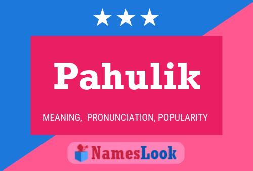 Poster del nome Pahulik