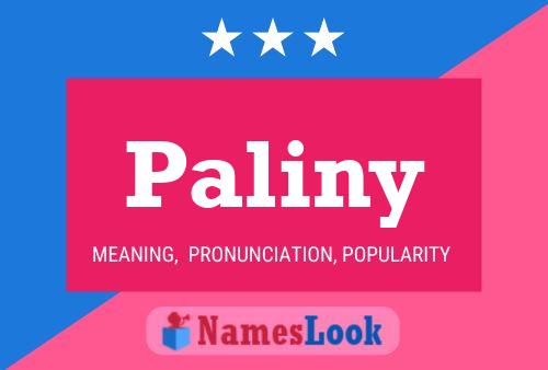 Poster del nome Paliny