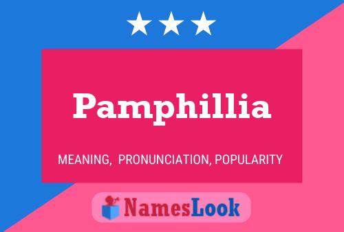 Poster del nome Pamphillia