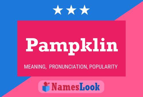 Poster del nome Pampklin