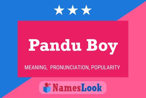 Poster del nome Pandu Boy