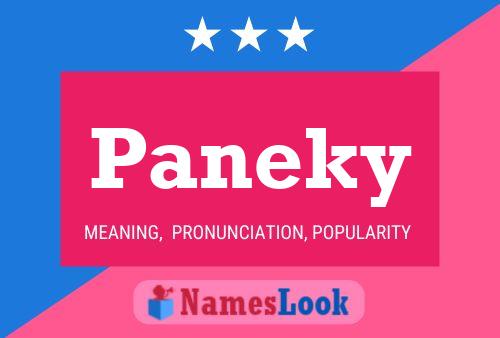 Poster del nome Paneky