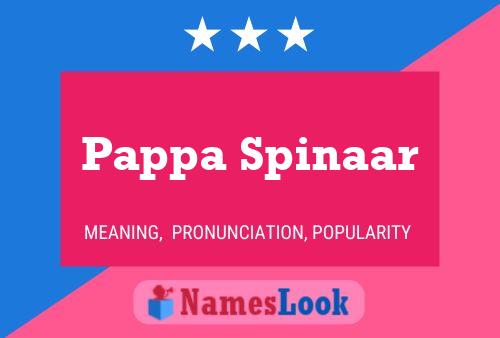 Poster del nome Pappa Spinaar