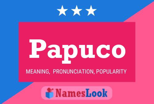 Poster del nome Papuco