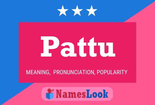 Poster del nome Pattu