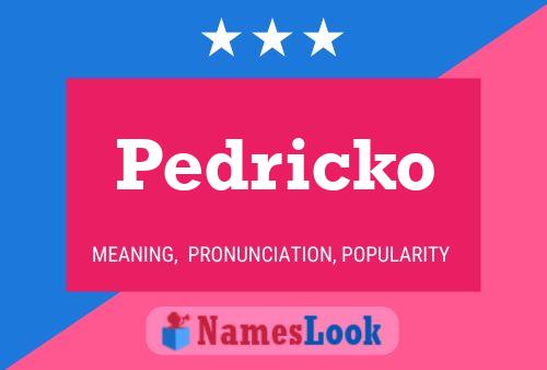 Poster del nome Pedricko