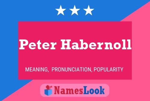 Poster del nome Peter Habernoll