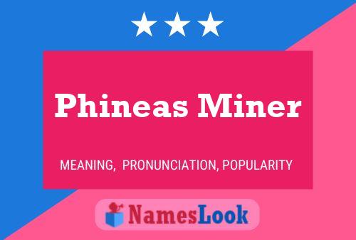 Poster del nome Phineas Miner