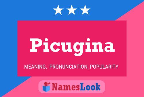 Poster del nome Picugina