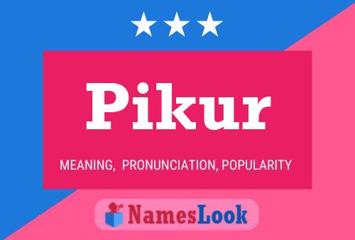 Poster del nome Pikur