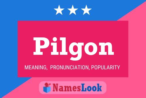 Poster del nome Pilgon