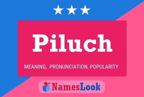 Poster del nome Piluch