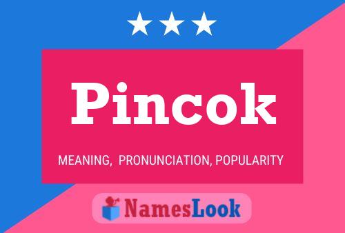 Poster del nome Pincok