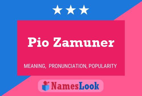 Poster del nome Pio Zamuner