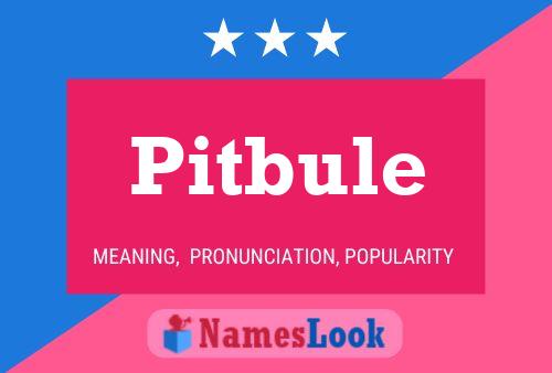 Poster del nome Pitbule