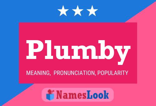 Poster del nome Plumby