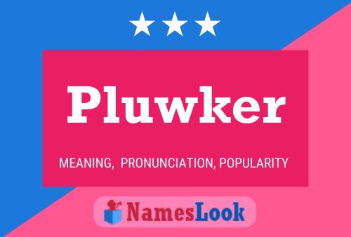 Poster del nome Pluwker