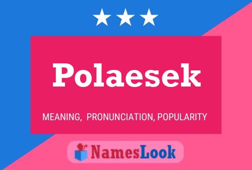 Poster del nome Polaesek