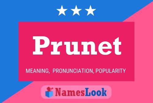 Poster del nome Prunet