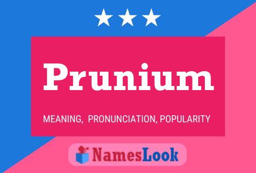 Poster del nome Prunium