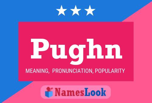 Poster del nome Pughn