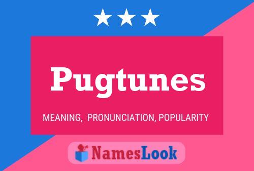 Poster del nome Pugtunes