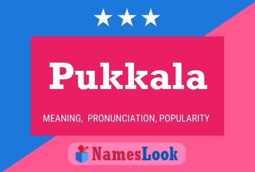 Poster del nome Pukkala