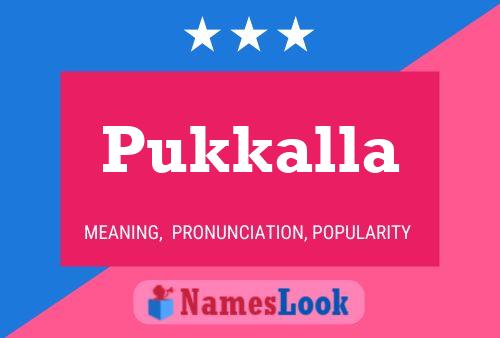 Poster del nome Pukkalla