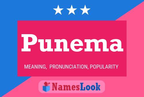 Poster del nome Punema