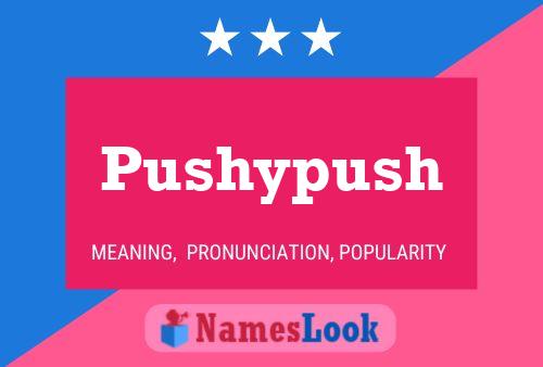 Poster del nome Pushypush