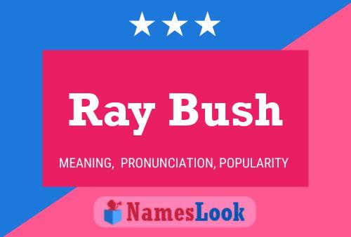 Poster del nome Ray Bush