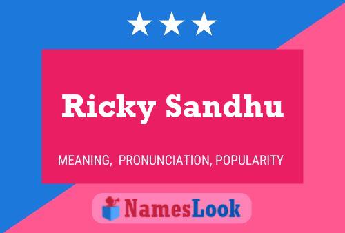 Poster del nome Ricky Sandhu